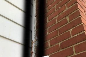 Best Chimney Calk: Seal & Protect Your Chimney! Chimney Works – Expert Chimney Repair, Cleaning & Installation Services Best Chimney Calk: Seal & Protect Your Chimney! | Chimney Works – Expert Chimney Repair, Cleaning & Installation Services