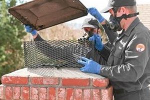 Professional Chimney Cleaning in Des Moines, IA | Safe & Reliable Chimney Works – Expert Chimney Repair, Cleaning & Installation Services Professional Chimney Cleaning in Des Moines, IA | Safe & Reliable | Chimney Works – Expert Chimney Repair, Cleaning & Installation Services