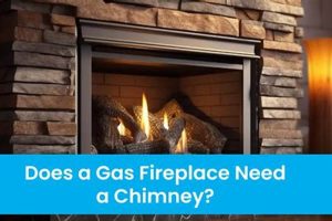 Gas Fireplace Chimney: Do You Really Need One? Chimney Works – Expert Chimney Repair, Cleaning & Installation Services Gas Fireplace Chimney: Do You Really Need One? | Chimney Works – Expert Chimney Repair, Cleaning & Installation Services