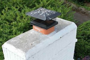 Chimney Safety: Spark Arrestor Install & Inspection Chimney Works – Expert Chimney Repair, Cleaning & Installation Services Chimney Safety: Spark Arrestor Install & Inspection | Chimney Works – Expert Chimney Repair, Cleaning & Installation Services