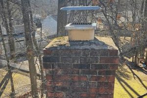 Annapolis Chimney Inspection: Safety & Peace of Mind Chimney Works – Expert Chimney Repair, Cleaning & Installation Services Annapolis Chimney Inspection: Safety & Peace of Mind | Chimney Works – Expert Chimney Repair, Cleaning & Installation Services