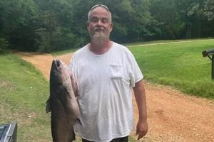 Explore Chimney Rock Lake, Oklahoma: Your Guide + More! Chimney Works – Expert Chimney Repair, Cleaning & Installation Services Explore Chimney Rock Lake, Oklahoma: Your Guide + More! | Chimney Works – Expert Chimney Repair, Cleaning & Installation Services