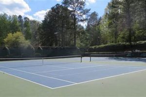Your Guide: Chimney Springs Tennis Courts Access & More Chimney Works – Expert Chimney Repair, Cleaning & Installation Services Your Guide: Chimney Springs Tennis Courts Access & More | Chimney Works – Expert Chimney Repair, Cleaning & Installation Services