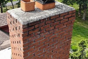 Best Chimney Saver Solutions: Protect Your Chimney Now! Chimney Works – Expert Chimney Repair, Cleaning & Installation Services Best Chimney Saver Solutions: Protect Your Chimney Now! | Chimney Works – Expert Chimney Repair, Cleaning & Installation Services