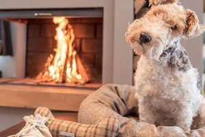 Killeen Chimney Sweep: Cleaning, Inspection & More Chimney Works – Expert Chimney Repair, Cleaning & Installation Services Killeen Chimney Sweep: Cleaning, Inspection & More | Chimney Works – Expert Chimney Repair, Cleaning & Installation Services