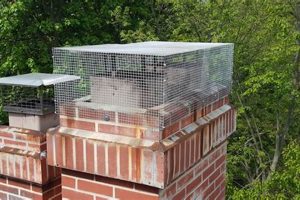 Stop Bats: Best Bat Proof Chimney Cap + Install Chimney Works – Expert Chimney Repair, Cleaning & Installation Services Stop Bats: Best Bat Proof Chimney Cap + Install | Chimney Works – Expert Chimney Repair, Cleaning & Installation Services