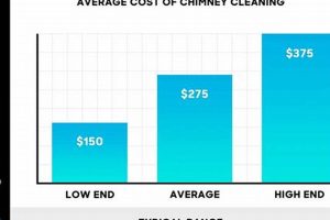 Cost of Chimney Cleaning: Average Price & Factors in 2024 Chimney Works – Expert Chimney Repair, Cleaning & Installation Services Cost of Chimney Cleaning: Average Price & Factors in 2024 | Chimney Works – Expert Chimney Repair, Cleaning & Installation Services
