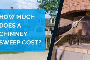 Chimney Sweep Costs: How Much to Sweep a Chimney? Guide Chimney Works – Expert Chimney Repair, Cleaning & Installation Services Chimney Sweep Costs: How Much to Sweep a Chimney? Guide | Chimney Works – Expert Chimney Repair, Cleaning & Installation Services
