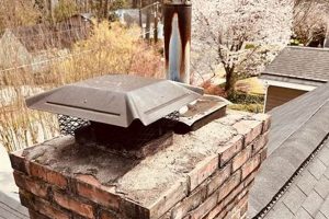 Protect Your Home: Custom Chimney Cap Near Me Installers Chimney Works – Expert Chimney Repair, Cleaning & Installation Services Protect Your Home: Custom Chimney Cap Near Me Installers | Chimney Works – Expert Chimney Repair, Cleaning & Installation Services