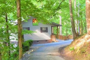 Find Chimney Rock NC Zillow Homes: Your Guide + Listings | Chimney Works – Expert Chimney Repair, Cleaning & Installation Services