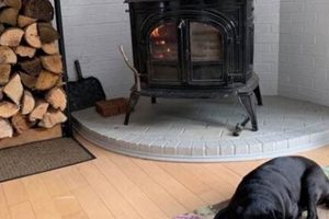 Hire a Billy Sweet Chimney Sweep: Expert Cleaning & Safety Chimney Works – Expert Chimney Repair, Cleaning & Installation Services Hire a Billy Sweet Chimney Sweep: Expert Cleaning & Safety | Chimney Works – Expert Chimney Repair, Cleaning & Installation Services