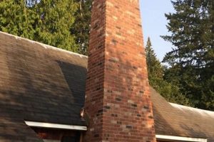 Local Chimney Mason Near Me: Expert Repair & Inspection | Chimney Works – Expert Chimney Repair, Cleaning & Installation Services