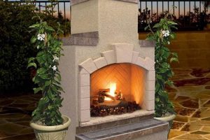 Upgrade Your Home: Gas Fireplace with Chimney Ideas | Chimney Works – Expert Chimney Repair, Cleaning & Installation Services
