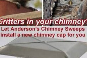 Local Anderson's Chimney Sweeps: Cleaning & Repair Chimney Works – Expert Chimney Repair, Cleaning & Installation Services Local Anderson's Chimney Sweeps: Cleaning & Repair | Chimney Works – Expert Chimney Repair, Cleaning & Installation Services