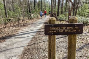 Explore: Chimney Top Rock Trailhead Hikes & Views! Chimney Works – Expert Chimney Repair, Cleaning & Installation Services Explore: Chimney Top Rock Trailhead Hikes & Views! | Chimney Works – Expert Chimney Repair, Cleaning & Installation Services