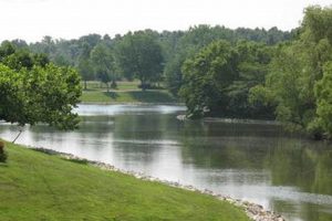 Twin Chimneys: Repair & Inspection Pros | Chimney Works – Expert Chimney Repair, Cleaning & Installation Services