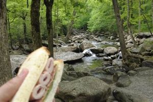 Visit Chimney Tops Picnic Area: Guide & Tips Chimney Works – Expert Chimney Repair, Cleaning & Installation Services Visit Chimney Tops Picnic Area: Guide & Tips | Chimney Works – Expert Chimney Repair, Cleaning & Installation Services