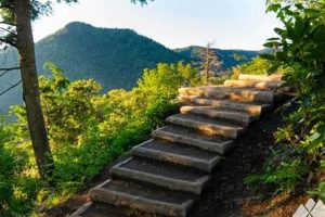 Hiker's Guide: Conquering Chimney Tops Trail Views! | Chimney Works – Expert Chimney Repair, Cleaning & Installation Services