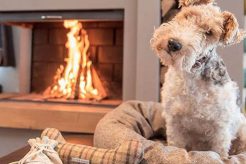 Killeen TX Chimney Cleaning: Safe & Efficient Services Chimney Works – Expert Chimney Repair, Cleaning & Installation Services Killeen TX Chimney Cleaning: Safe & Efficient Services | Chimney Works – Expert Chimney Repair, Cleaning & Installation Services