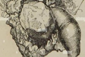 History's Hazard: Chimney Sweeps, Scrotal Cancer & Prevention Chimney Works – Expert Chimney Repair, Cleaning & Installation Services History's Hazard: Chimney Sweeps, Scrotal Cancer & Prevention | Chimney Works – Expert Chimney Repair, Cleaning & Installation Services