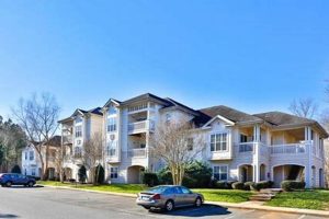 Find Chimney Apartments in Albemarle NC: Guide & Deals Chimney Works – Expert Chimney Repair, Cleaning & Installation Services Find Chimney Apartments in Albemarle NC: Guide & Deals | Chimney Works – Expert Chimney Repair, Cleaning & Installation Services