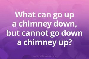 Chimney Work: What Goes Up, Can't Come Down & Safety Tips Chimney Works – Expert Chimney Repair, Cleaning & Installation Services Chimney Work: What Goes Up, Can't Come Down & Safety Tips | Chimney Works – Expert Chimney Repair, Cleaning & Installation Services