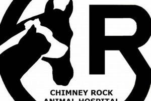 Chimney Rock Animal Hospital: Your Pet's Health & Care Chimney Works – Expert Chimney Repair, Cleaning & Installation Services Chimney Rock Animal Hospital: Your Pet's Health & Care | Chimney Works – Expert Chimney Repair, Cleaning & Installation Services