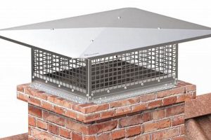 Understanding Chimney Cover Cost: A Practical Guide Chimney Works – Expert Chimney Repair, Cleaning & Installation Services Understanding Chimney Cover Cost: A Practical Guide | Chimney Works – Expert Chimney Repair, Cleaning & Installation Services