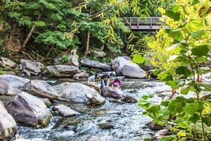 Discover Chimney Rock Village River Park: Your River Getaway! | Chimney Works – Expert Chimney Repair, Cleaning & Installation Services