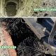 OC Chimney Cleaning: Expert Service in Orange County | Chimney Works – Expert Chimney Repair, Cleaning & Installation Services