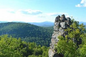 Discover Chimney Mountain: Hikes & Scenic Views Chimney Works – Expert Chimney Repair, Cleaning & Installation Services Discover Chimney Mountain: Hikes & Scenic Views | Chimney Works – Expert Chimney Repair, Cleaning & Installation Services