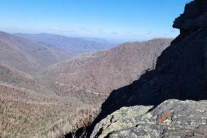 Explore Chimney Top Gatlinburg: Hikes & Views Chimney Works – Expert Chimney Repair, Cleaning & Installation Services Explore Chimney Top Gatlinburg: Hikes & Views | Chimney Works – Expert Chimney Repair, Cleaning & Installation Services