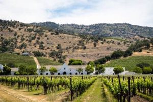 Visit Chimney Rock Napa CA: Wines & More! | Chimney Works – Expert Chimney Repair, Cleaning & Installation Services