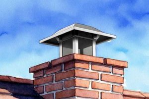 Stop Downdrafts: Best Chimney Caps & Solutions Today | Chimney Works – Expert Chimney Repair, Cleaning & Installation Services
