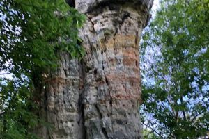 Explore Chimney Rock Scientific & Natural Area: A Guide | Chimney Works – Expert Chimney Repair, Cleaning & Installation Services