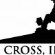 DJ Cross Chimney Secrets: Pro Audio Blending | Chimney Works – Expert Chimney Repair, Cleaning & Installation Services