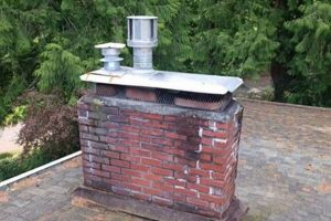 Chimney Spark Arrestor: Protect Your Home + Best Types | Chimney Works – Expert Chimney Repair, Cleaning & Installation Services