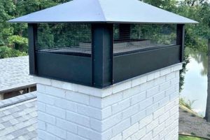 Protect Chimneys: Chimney Cap Covers & Guards Guide | Chimney Works – Expert Chimney Repair, Cleaning & Installation Services