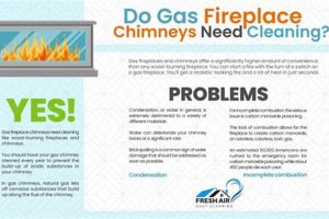 Do Gas Fireplace Chimneys Need Cleaning? Safety & Care Tips Chimney Works – Expert Chimney Repair, Cleaning & Installation Services Do Gas Fireplace Chimneys Need Cleaning? Safety & Care Tips | Chimney Works – Expert Chimney Repair, Cleaning & Installation Services