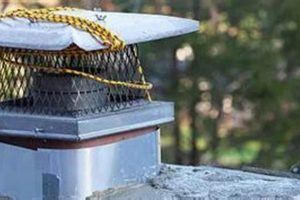 Chimney Cap Repair: Protecting Your Flue & Chimney Caps Chimney Works – Expert Chimney Repair, Cleaning & Installation Services Chimney Cap Repair: Protecting Your Flue & Chimney Caps | Chimney Works – Expert Chimney Repair, Cleaning & Installation Services