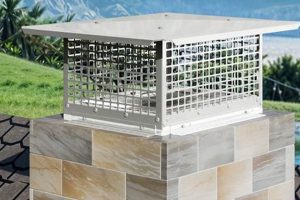 Outdoor Chimneys: Design &amp; Lasting Beauty | Chimney Works – Expert Chimney Repair, Cleaning & Installation Services