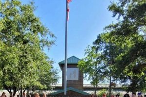 Discover Chimney Lakes Elementary: Academics & Community | Chimney Works – Expert Chimney Repair, Cleaning & Installation Services