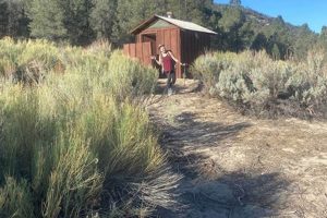 Explore Chimney Creek Campground CA: Camping in Sequoia! | Chimney Works – Expert Chimney Repair, Cleaning & Installation Services