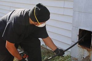 Chimney Sweep MD: Expert Cleaning & Inspections Chimney Works – Expert Chimney Repair, Cleaning & Installation Services Chimney Sweep MD: Expert Cleaning & Inspections | Chimney Works – Expert Chimney Repair, Cleaning & Installation Services