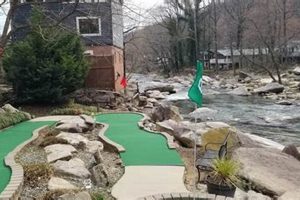 See Chimney Rock Adventure Golf Photos: Fun Awaits! Chimney Works – Expert Chimney Repair, Cleaning & Installation Services See Chimney Rock Adventure Golf Photos: Fun Awaits! | Chimney Works – Expert Chimney Repair, Cleaning & Installation Services
