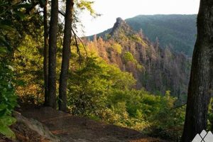 Exploring Chimney Tops Trail Photos: Views & Hikes | Chimney Works – Expert Chimney Repair, Cleaning & Installation Services