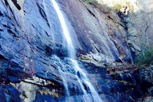 Explore: Elevation of Chimney Rock, NC | Guide Chimney Works – Expert Chimney Repair, Cleaning & Installation Services Explore: Elevation of Chimney Rock, NC | Guide | Chimney Works – Expert Chimney Repair, Cleaning & Installation Services