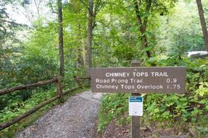 Hike Chimney Tops Trailhead: Gatlinburg's TN Gem + Tips | Chimney Works – Expert Chimney Repair, Cleaning & Installation Services