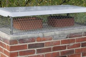 Protect Your Home: Multi Flue Chimney Cap Benefits | Chimney Works – Expert Chimney Repair, Cleaning & Installation Services