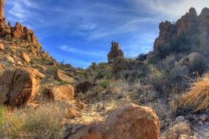 Guide to Chimneys Trailhead Adventures Near You! Chimney Works – Expert Chimney Repair, Cleaning & Installation Services Guide to Chimneys Trailhead Adventures Near You! | Chimney Works – Expert Chimney Repair, Cleaning & Installation Services